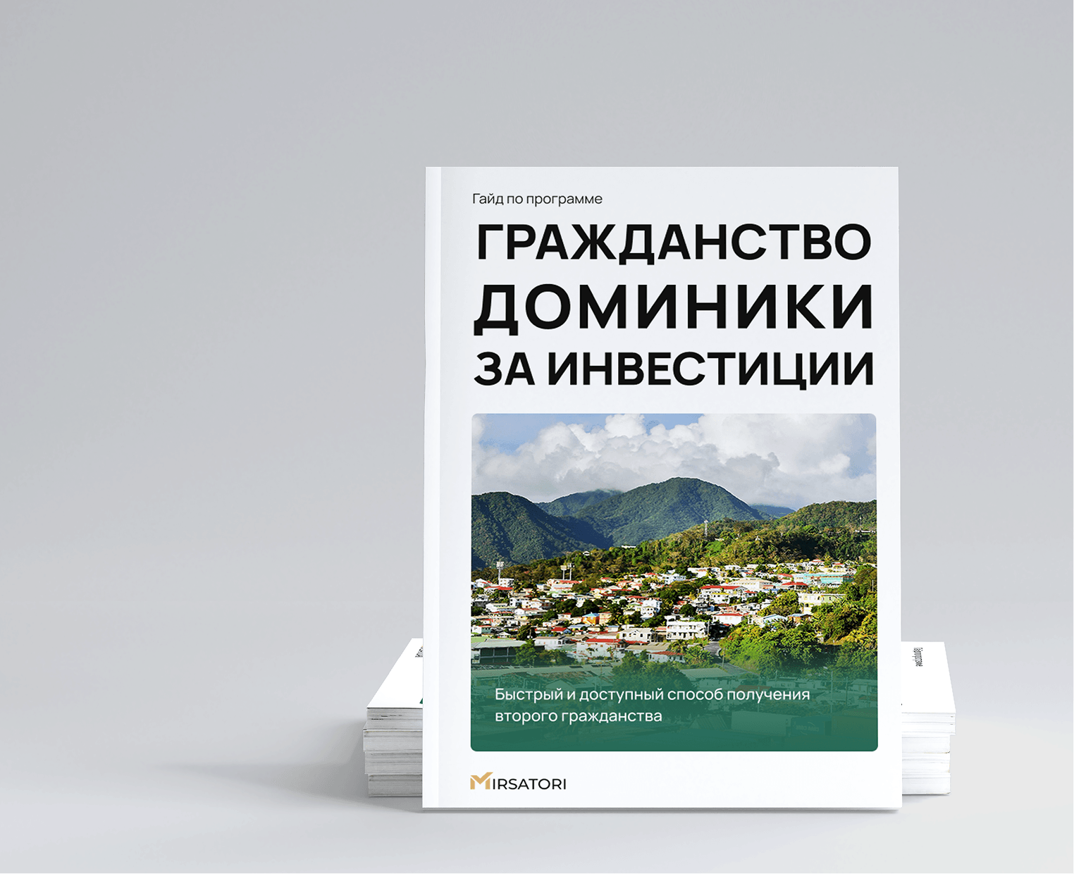 Получите подробную инструкцию по оформлению гражданства Доминики  