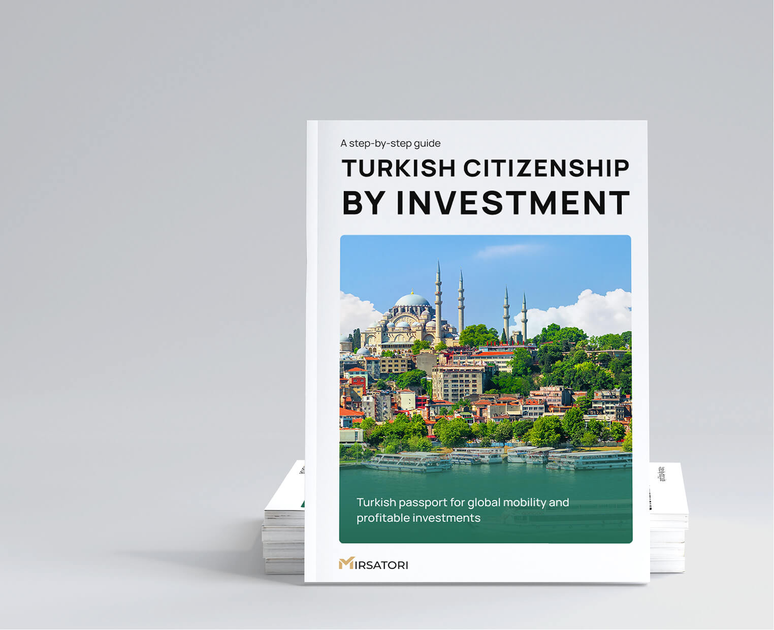Get a detailed guide to obtaining Turkish citizenship 
