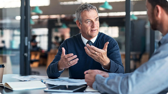 Senior executives and professionals